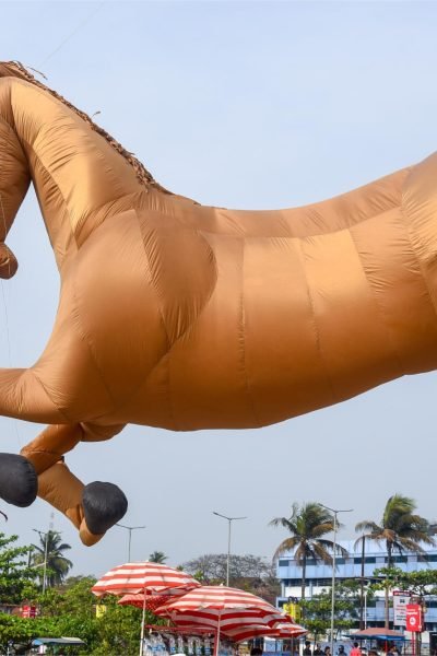 WhatsApp Image 2025-01-17 at 4.25.26 AM (1)