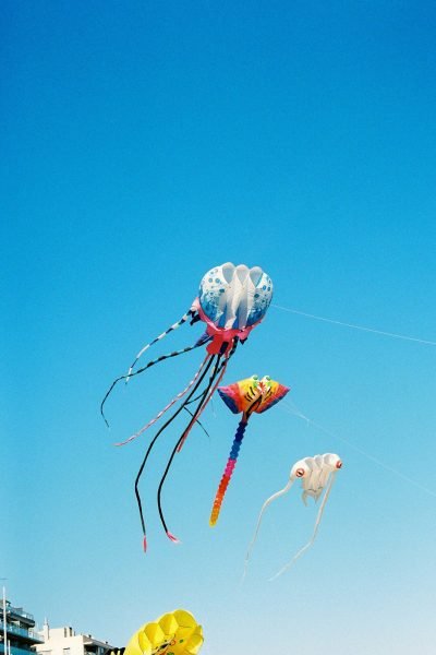 pexels-alinaskazka-27371622