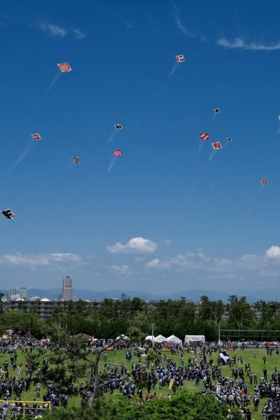 pexels-huuhuynh-23384159